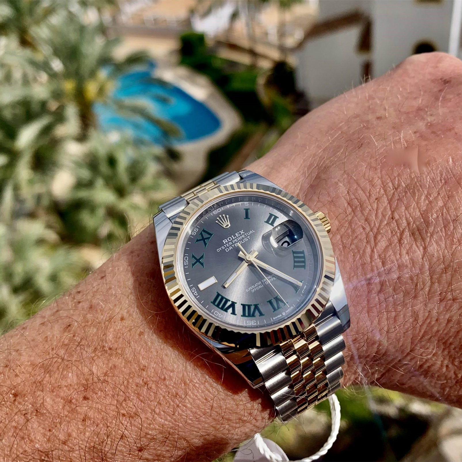 Datejust 41 horloge: Oystersteel-staal en Geelgoud - M126333-0020