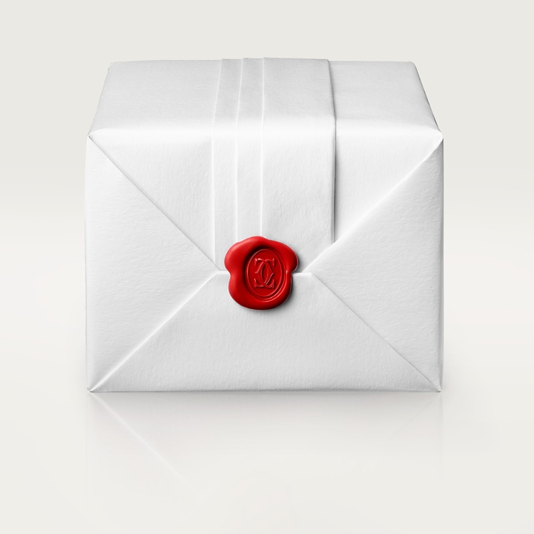 Ballon Bleu de Cartier watch Matte silvered sunray-brushed dial 33 mm