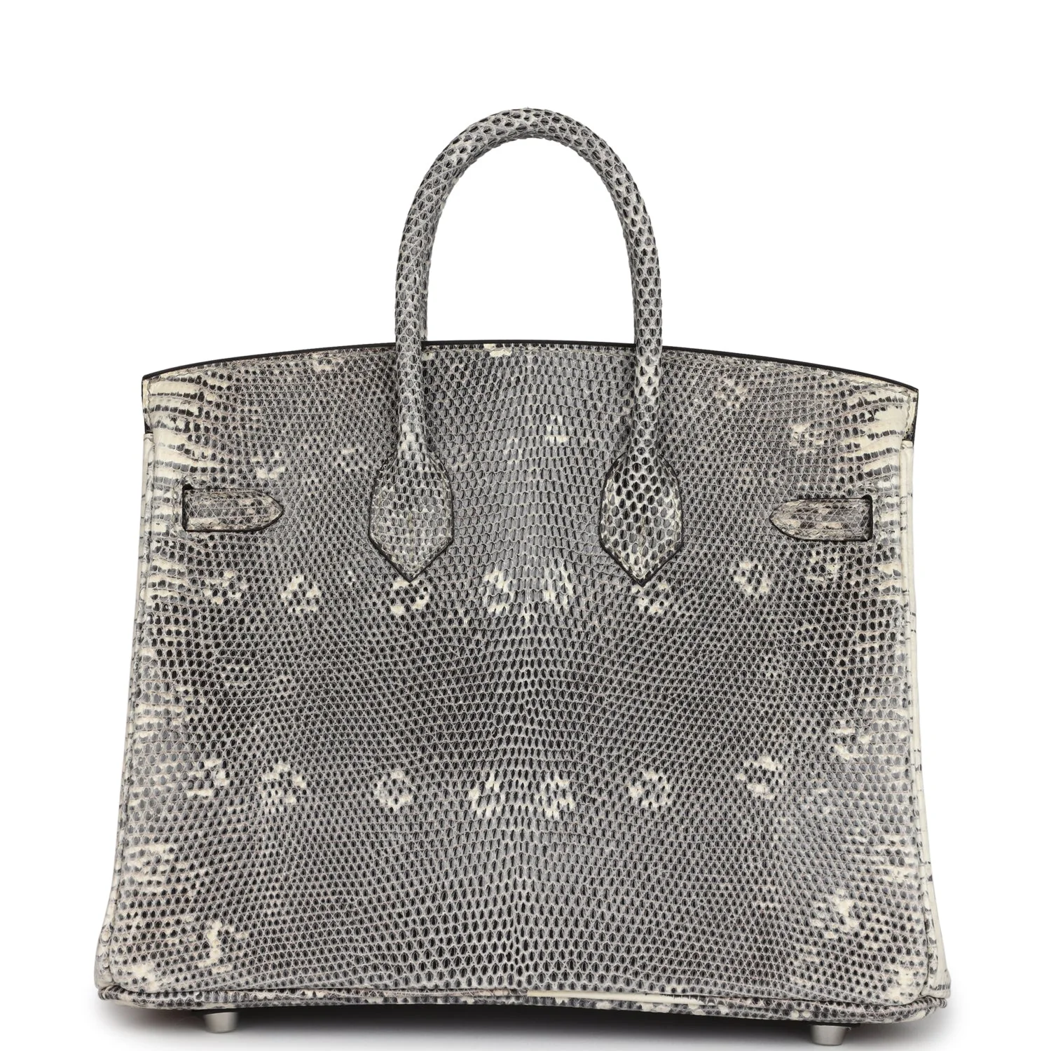Replicate Hermes Birkin 25 Ombre Varanus Salvator Lizard Palladium Hardware(1:1 replica)