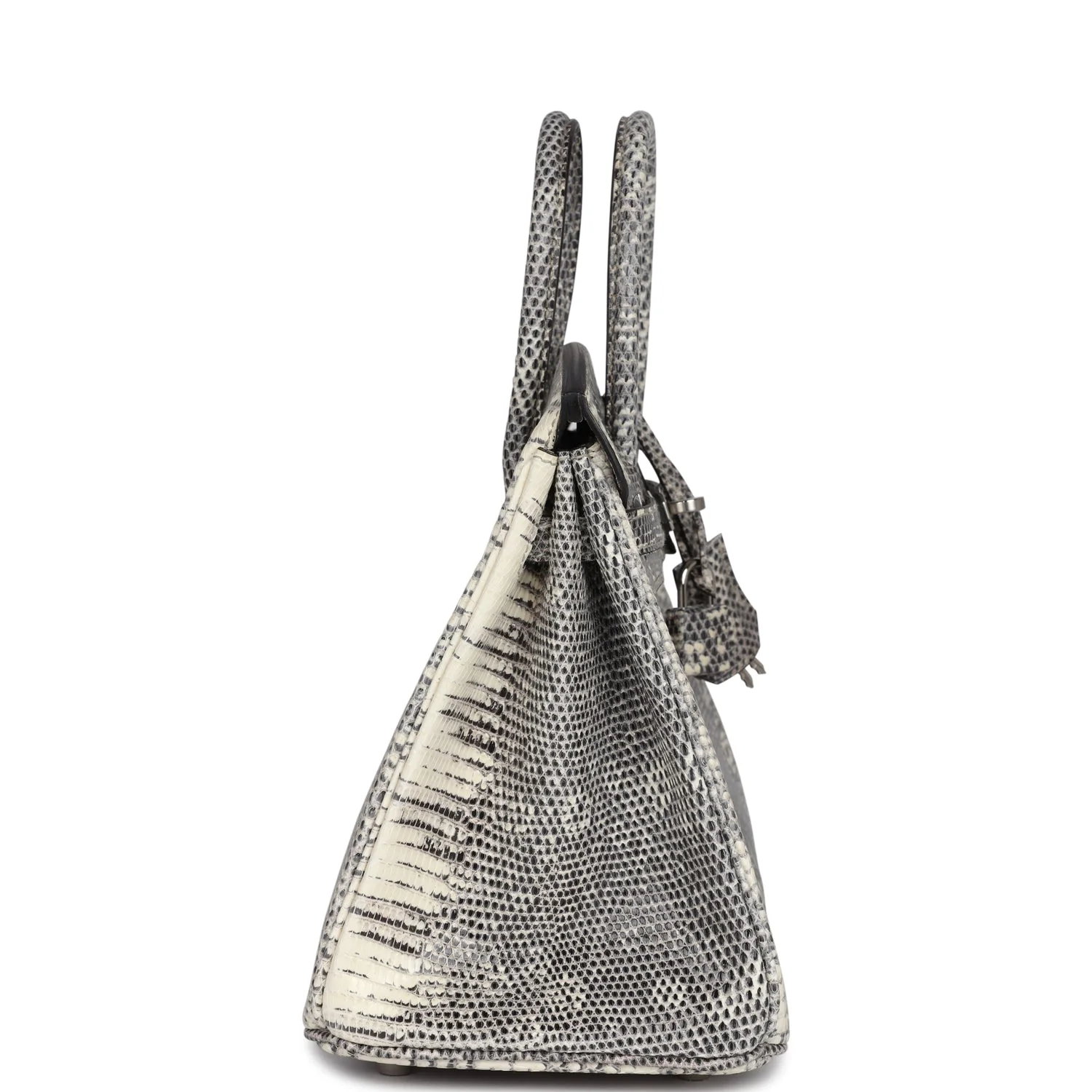 Replicate Hermes Birkin 25 Ombre Varanus Salvator Lizard Palladium Hardware(1:1 replica)