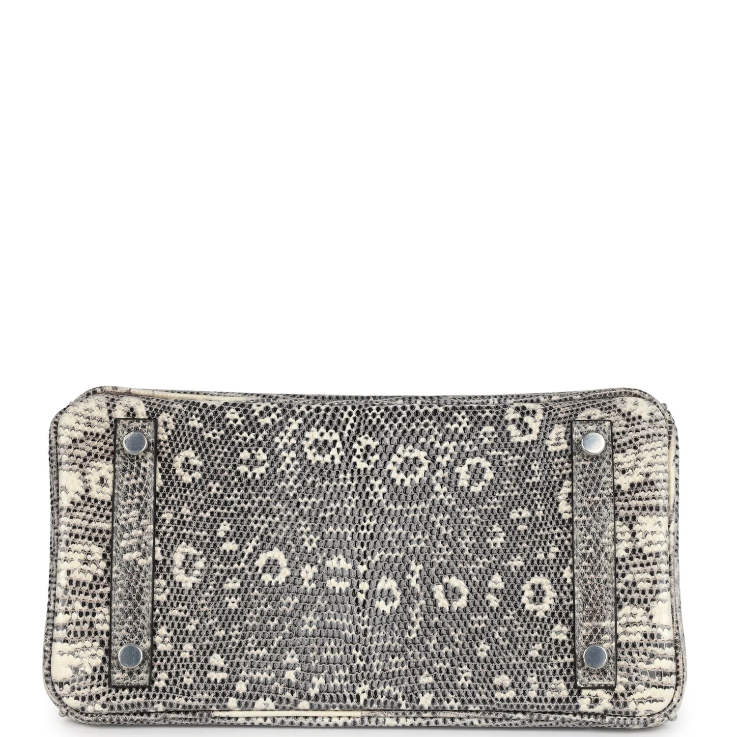 Replicate Hermes Birkin 25 Ombre Varanus Salvator Lizard Palladium Hardware(1:1 replica)