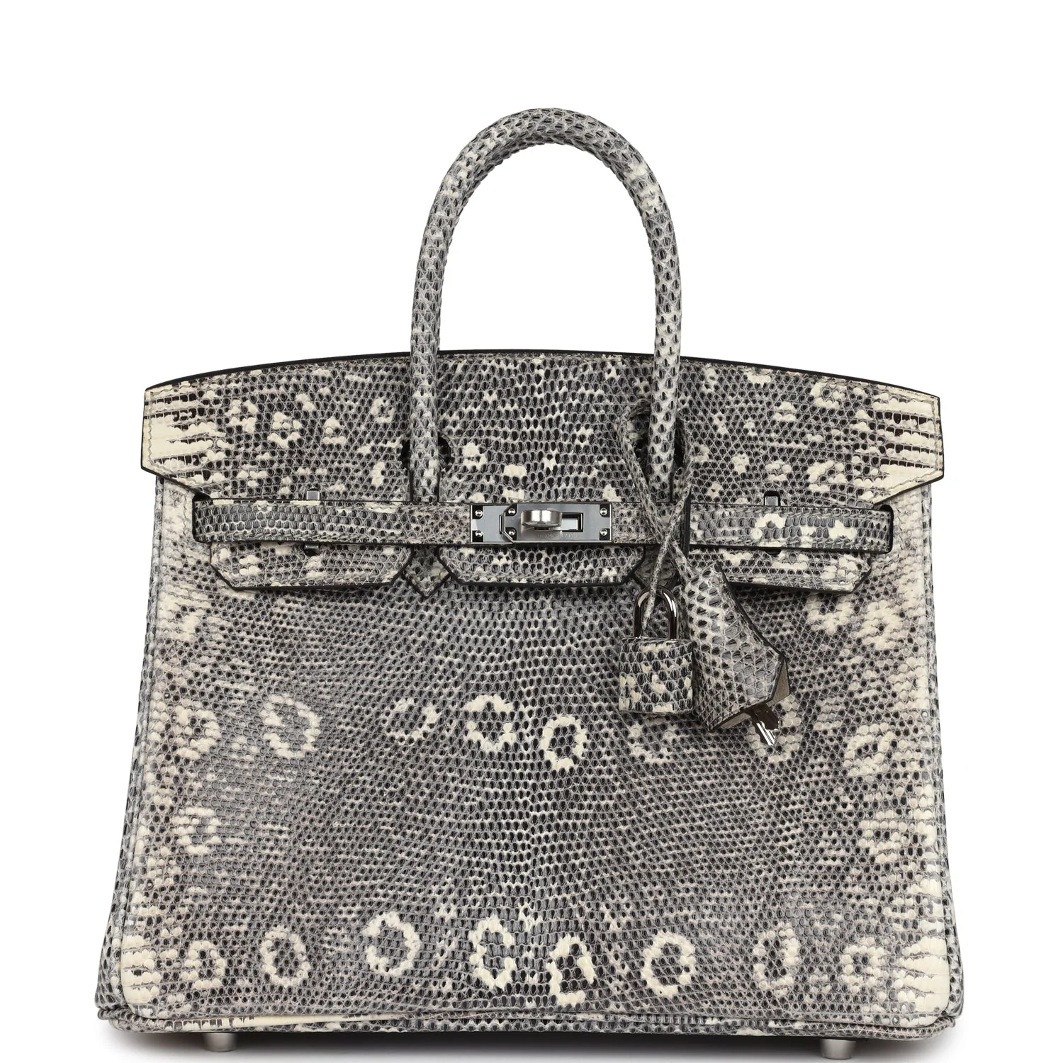 Replicate Hermes Birkin 25 Ombre Varanus Salvator Lizard Palladium Hardware(1:1 replica)