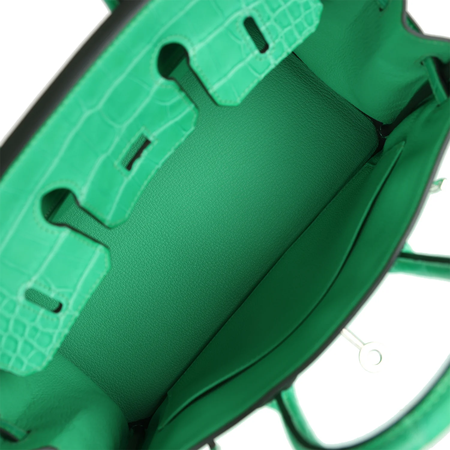 Replicate Hermes Birkin 25 Vert Comics Togo and Matte Alligator Touch Palladium Hardware(1:1 replica)