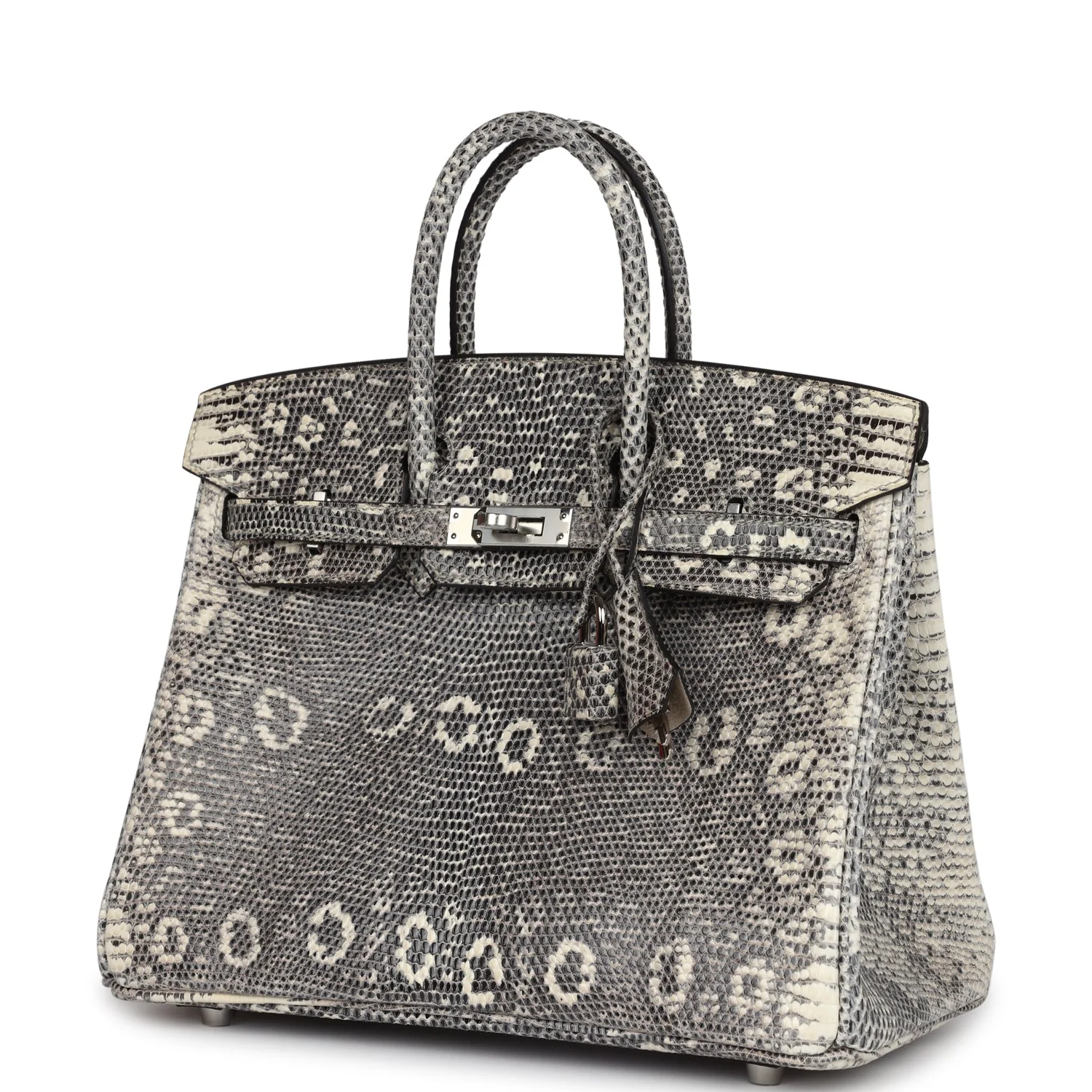 Replicate Hermes Birkin 25 Ombre Varanus Salvator Lizard Palladium Hardware(1:1 replica)