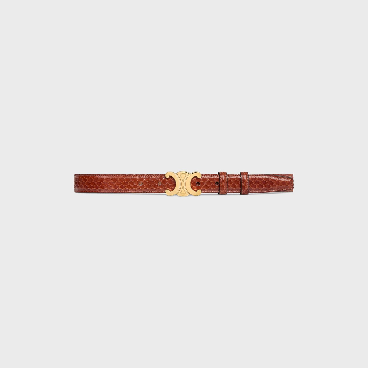 Replicate Medium Triomphe Belt in PYTHON(1:1 replica)