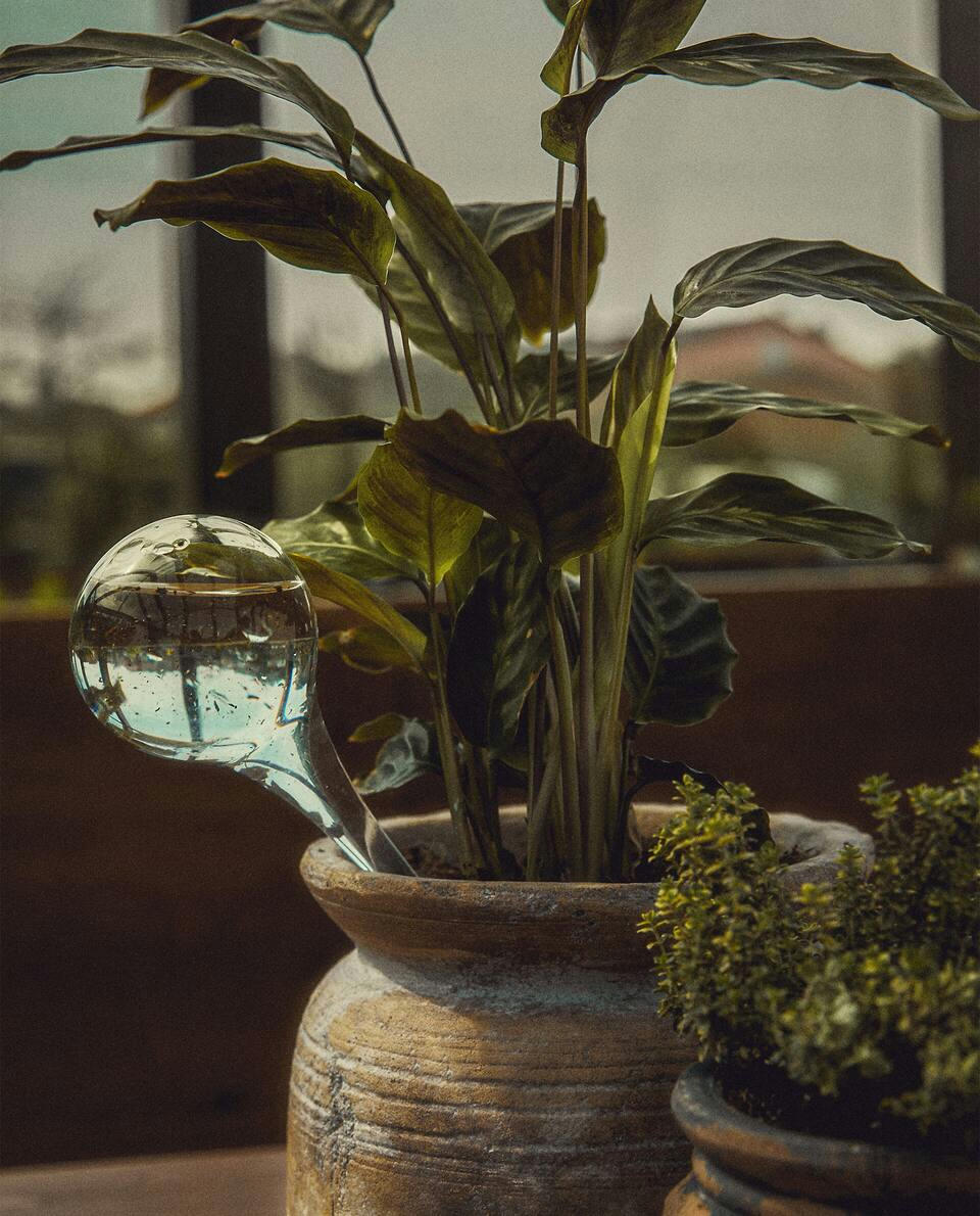 BOROSILICATE GLASS SELF-WATERING BUBBLE