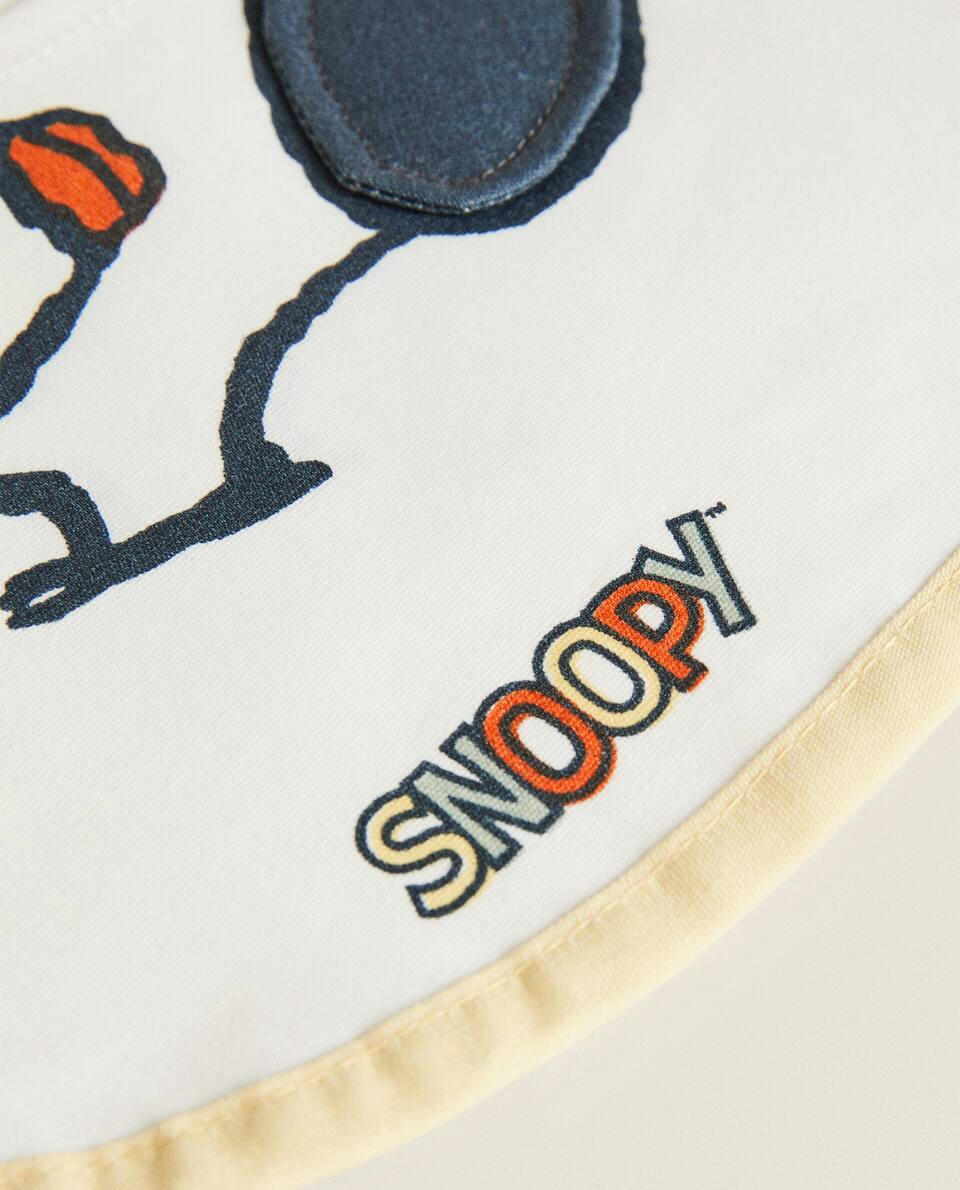 PEANUTS? BIB
