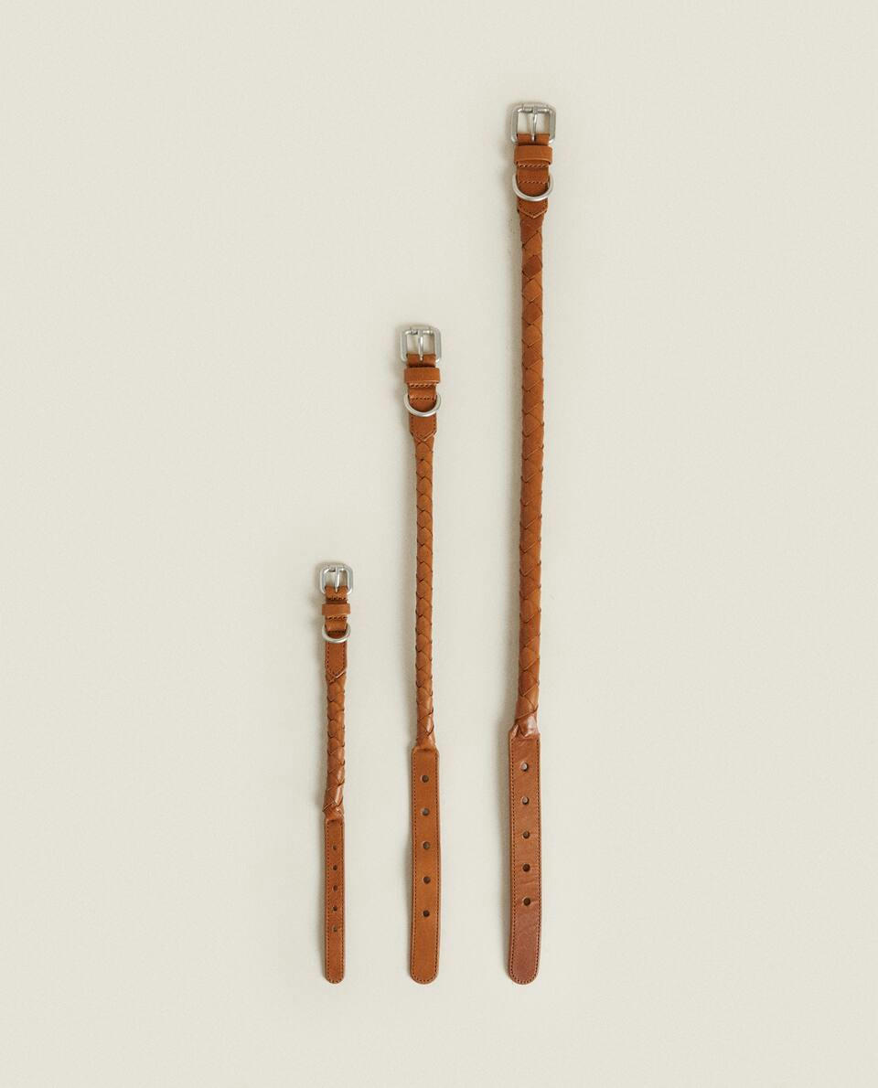 BRAIDED PET COLLAR