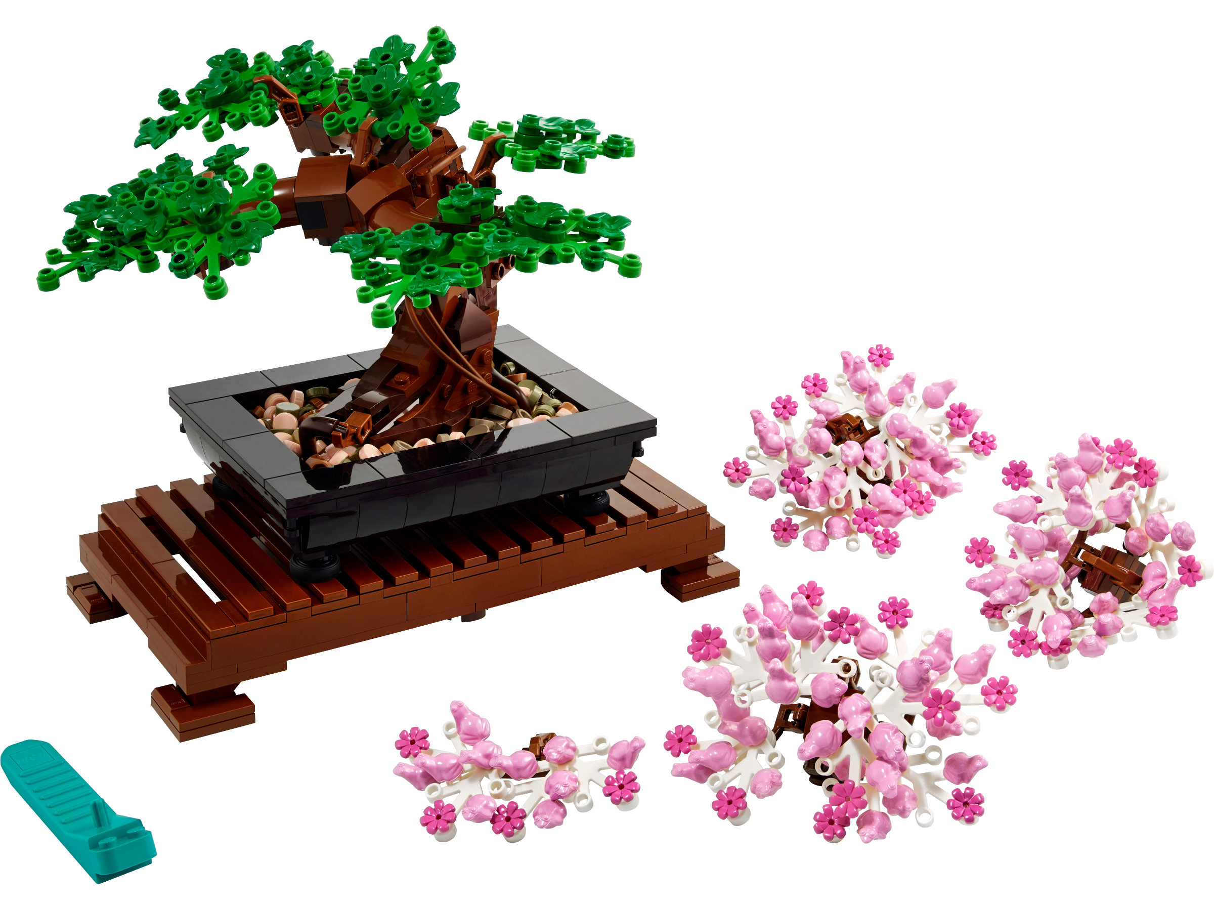 Bonsai Tree